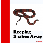 Pesky Possum Bird & Pest Control | Keeping Snakes Away