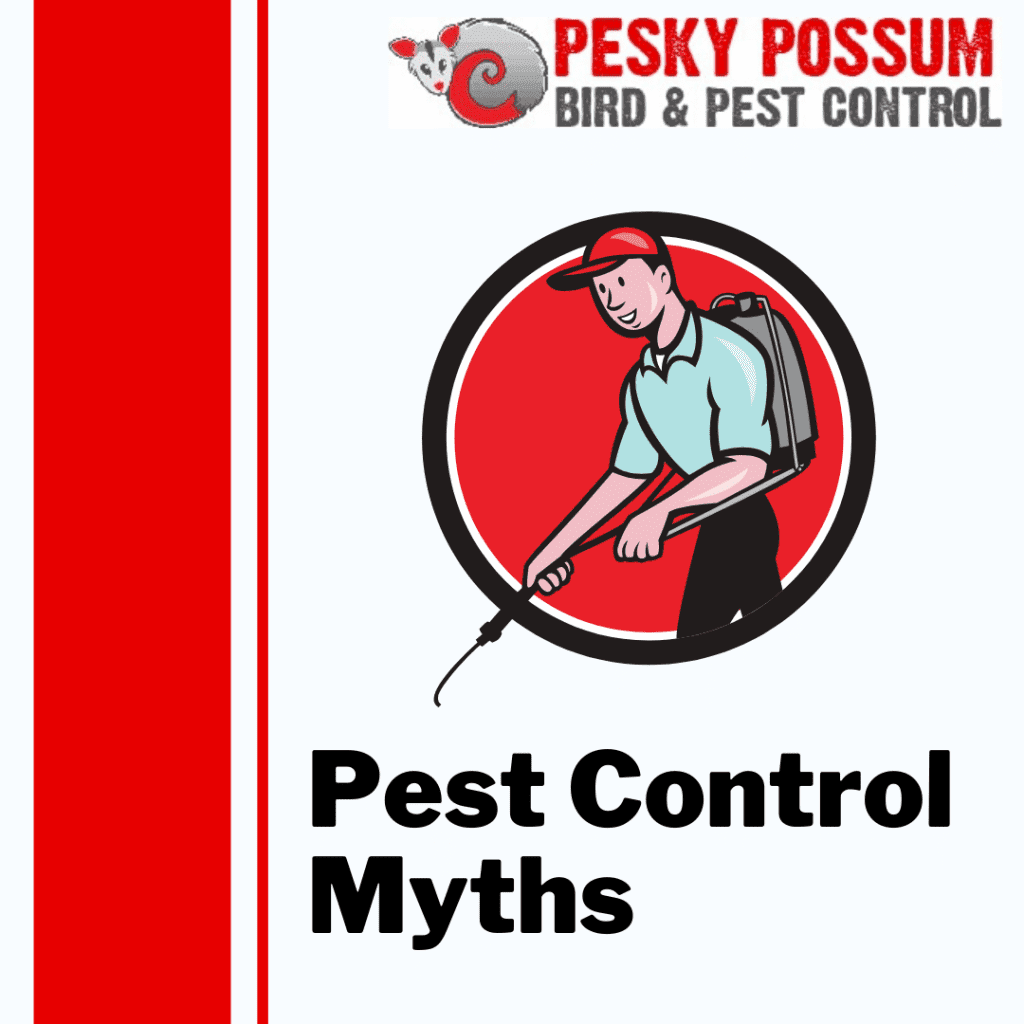Pest Control Myths