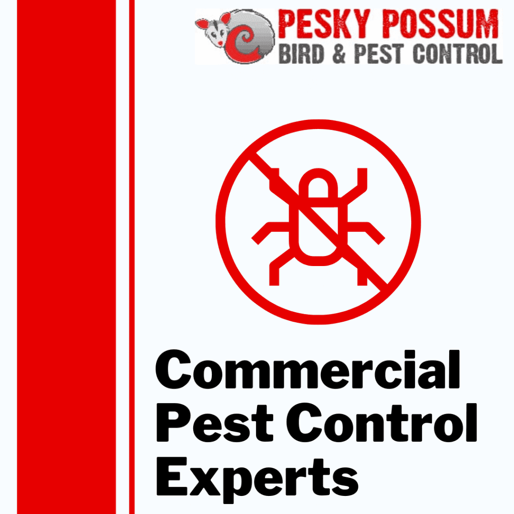 Brisbane Commercial Pest Control