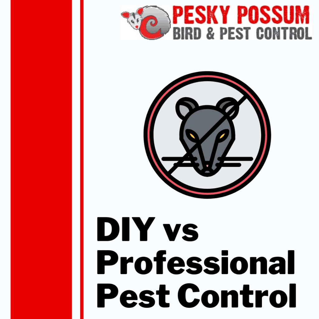 DIY vs Professional Pest Control Services