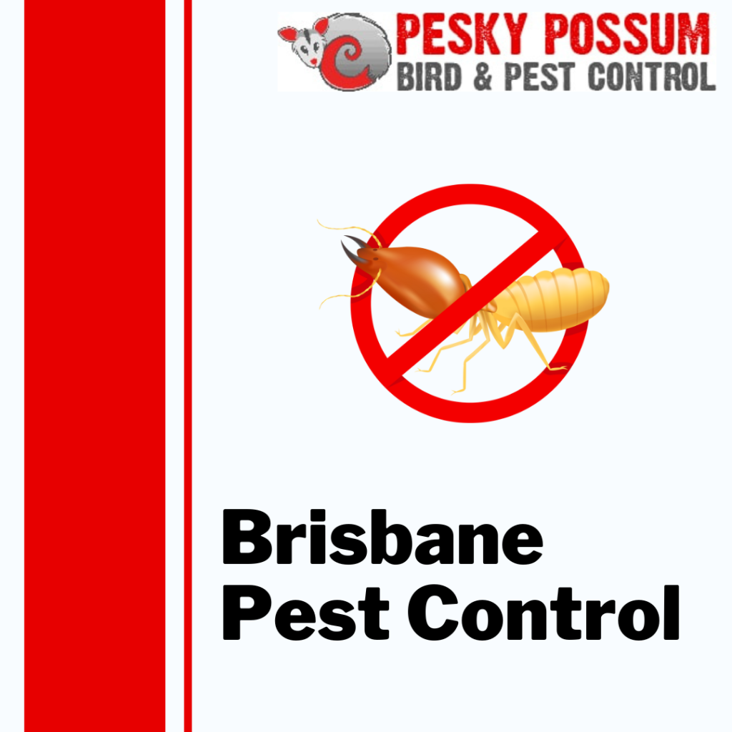 Brisbane Pest Control